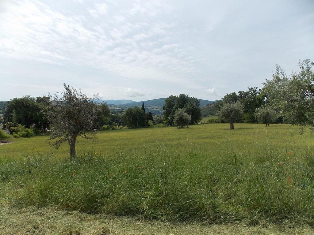 Vendesi casale a San Severino Marche (MC)
