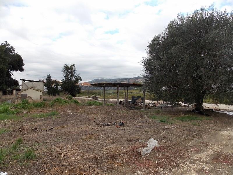 Casale in vendita a Campofilone con terreno