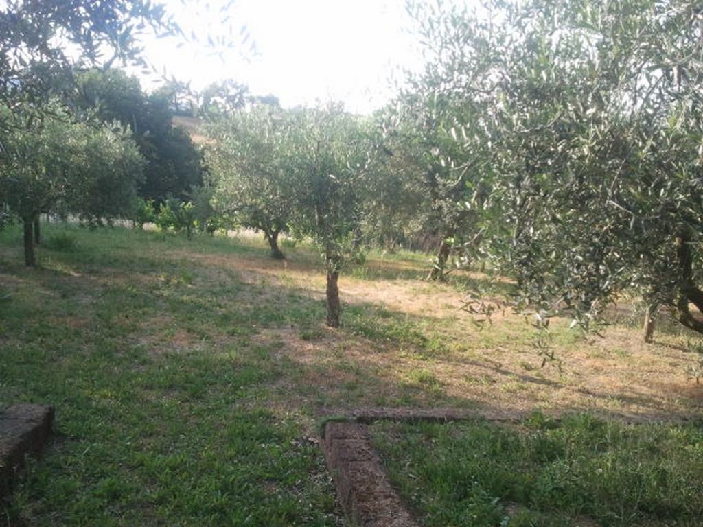 Vendesi elegante residenza a Treia (MC)