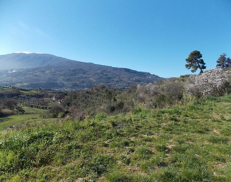Vendesi due case indipendenti ad Ascoli Piceno