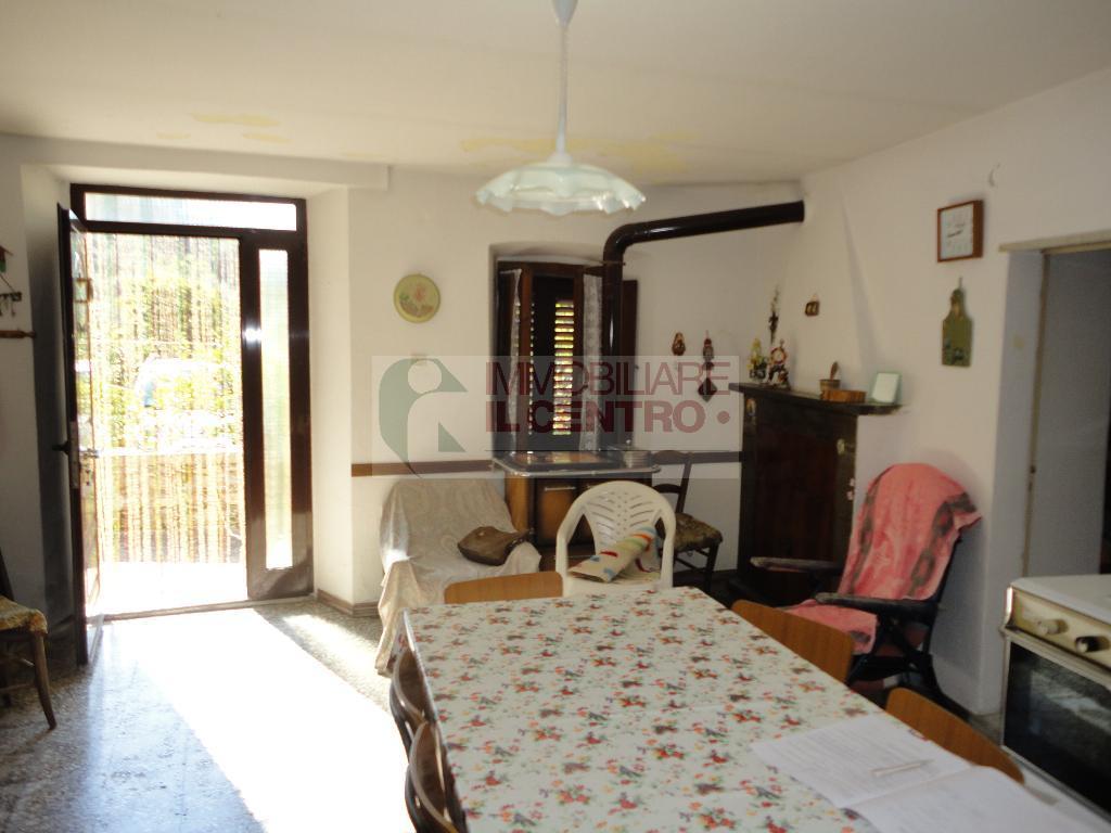 Villa Unifamiliare - Indipendente FIVIZZANO vendita    IL CENTRO IMMOBILIARE snc di Stefano Santi