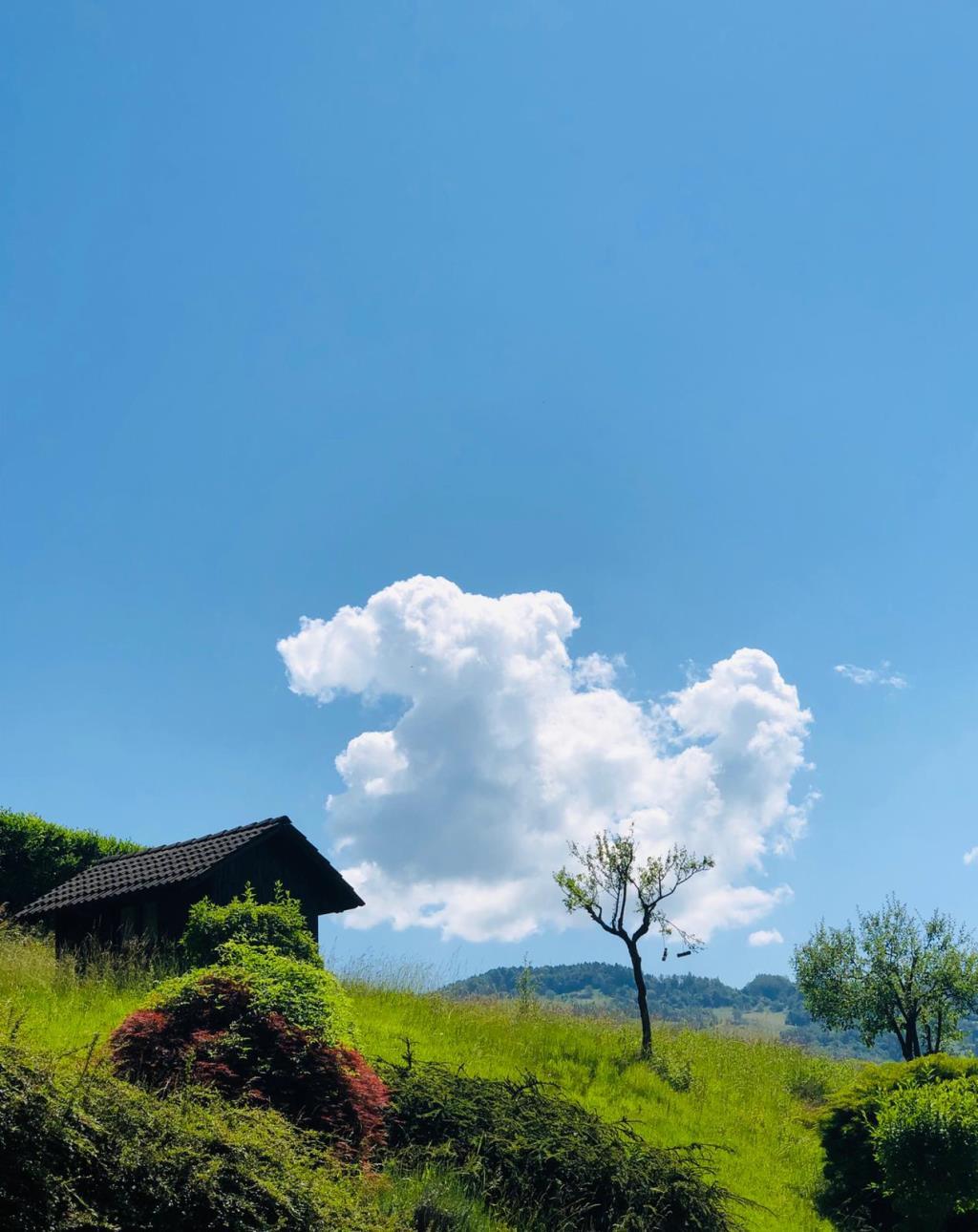 Rustico - Cascina SAN GIOVANNI BIANCO vendita   via capatelli Bassi Immobiliare