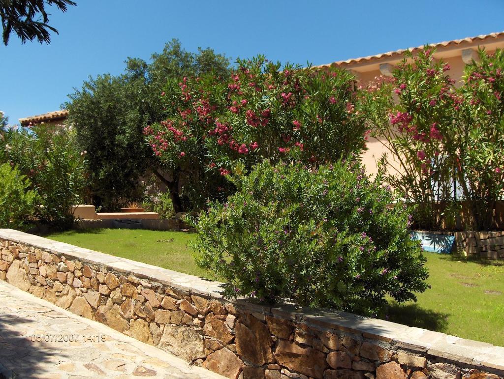 Appartamento SAN TEODORO vendita   Villaggio EST Capo Coda Cavallo GEOINVEST C.S.P.E. DI CAMPANELLI STEFANO