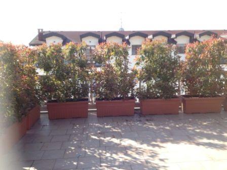  gambolò vendita quart:  acquaotta basilia maria
