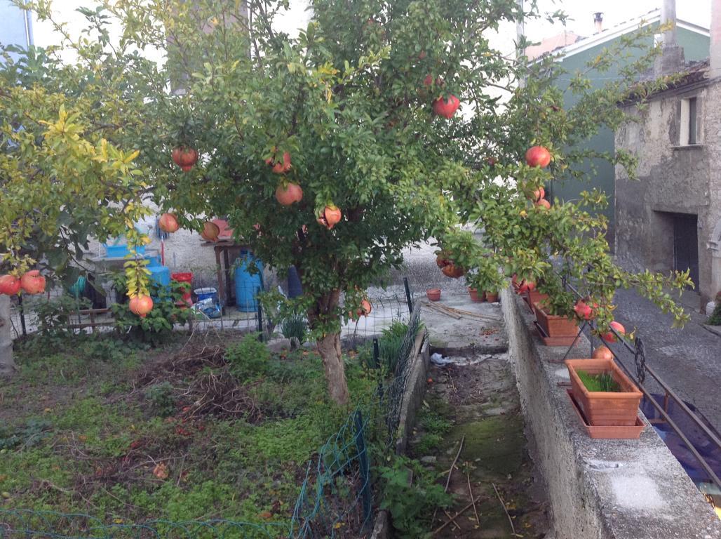 Villa Unifamiliare - Indipendente CAMPODIPIETRA vendita   centro paese STUDIO IMMOBILIARE  d
