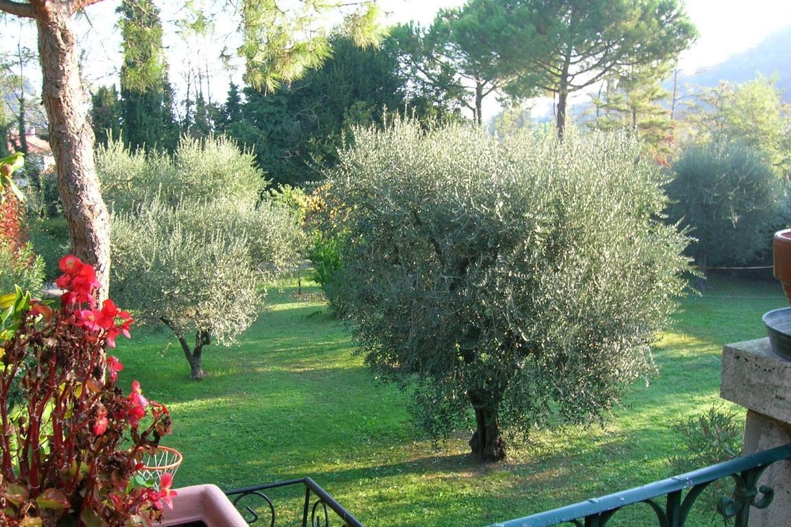 Vendesi casale colonico a Cupra Marittima (AP)