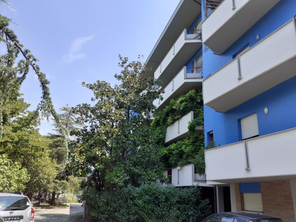  ravenna affitto quart: canale molinetto s.co.r. ravenna srl