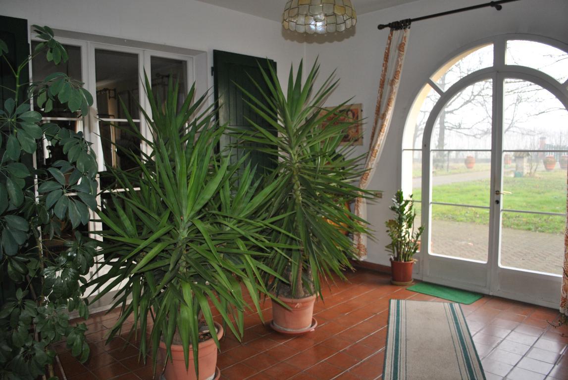 Villa Unifamiliare - Indipendente RUSSI vendita    S.CO.R. RAVENNA SRL