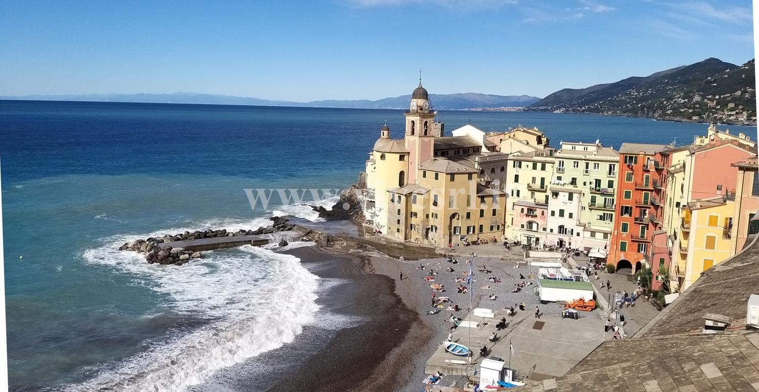  camogli vendita quart:  vive srl
