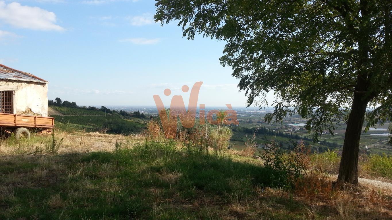  cesena vendita quart:  giampaolo magnani srl