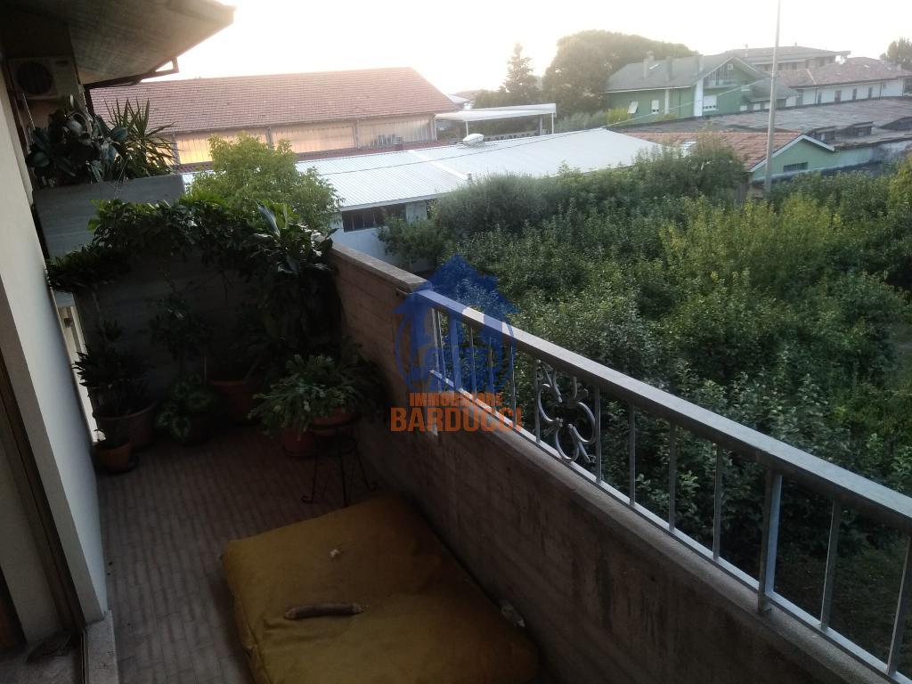 Appartamento SAVIGNANO SUL RUBICONE vendita    Agenzia Immobiliare Barducci