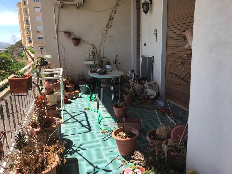 Appartamento AGRIGENTO vendita   vicolo Igea CANTAVENERA ROSARIO