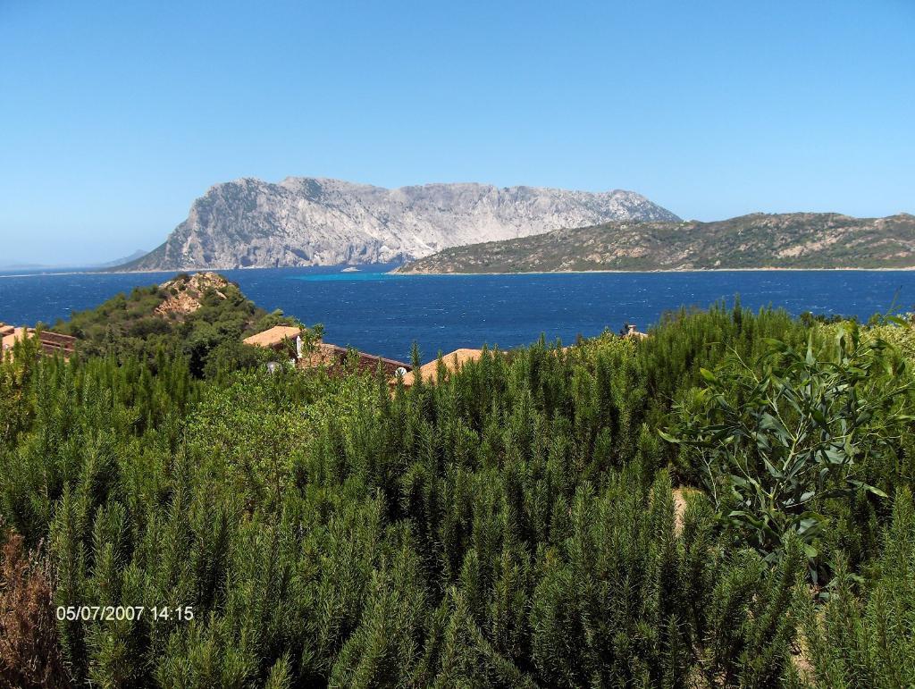  san-teodoro vendita quart:  geoinvest-c.s.p.e.-di-campanelli-stefano