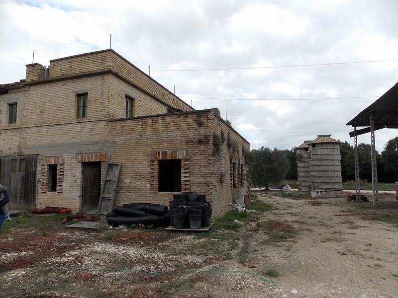 Casale in vendita a Campofilone con terreno