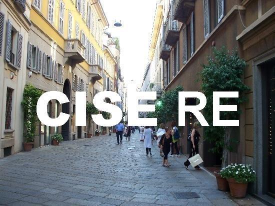 Negozio - Loc.Com. MILANO affitto    CISE RE SRL