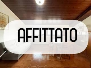 Mansarda in Affitto