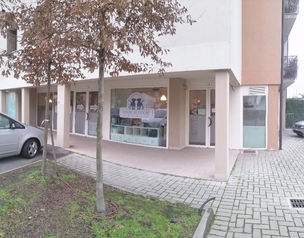  cremona vendita quart:  abitat-snc-di-mazzini-luca-e-c.
