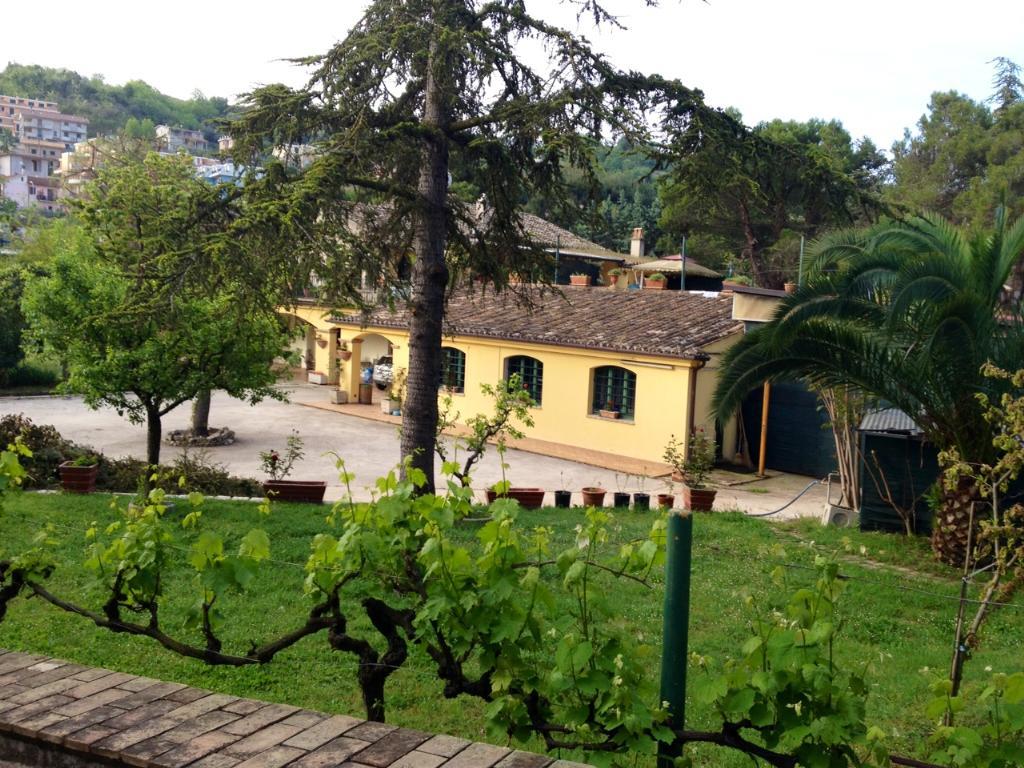Vendesi casale colonico a Cupra Marittima (AP)