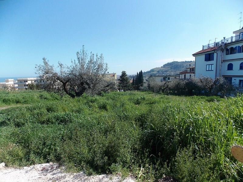 Terreno in vendita a Grottammare per commerciale
