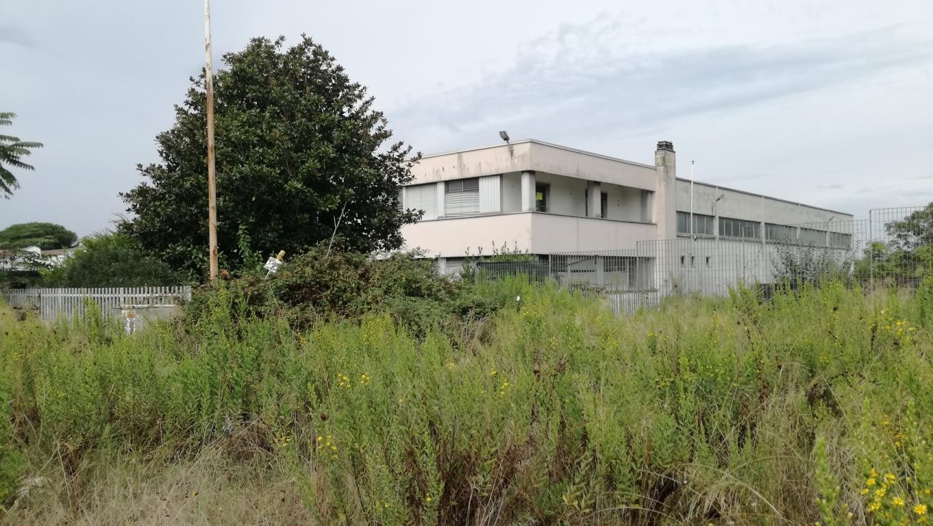 Capannone Commerciale ROMA vendita  TIBURTINO (III MUN.) Via Tiburtina IMMOBILI & IMPRESE SRL