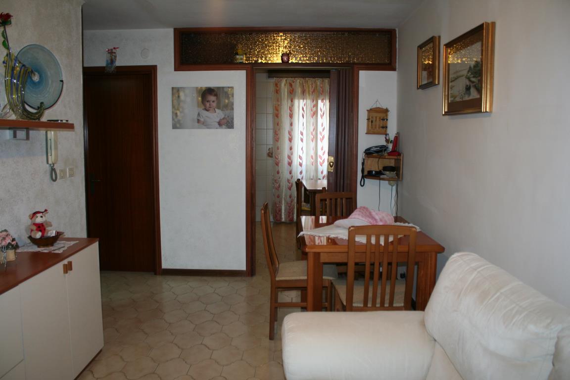  chioggia vendita quart:  soluzione casa snc