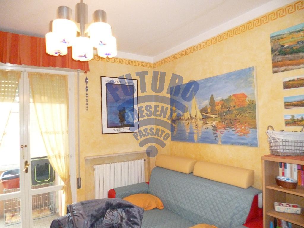 Appartamento SAN MAURO PASCOLI vendita    Agenzia Immobiliare Barducci