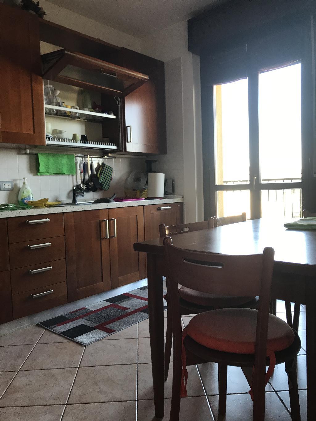 Appartamento VITTUONE vendita    Immobilcasa