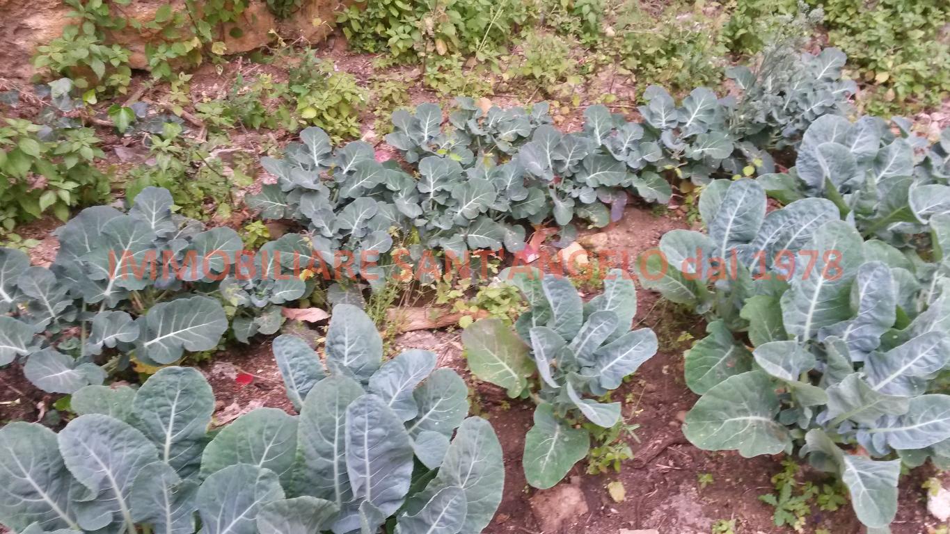  agrigento vendita quart:  cantavenera rosario