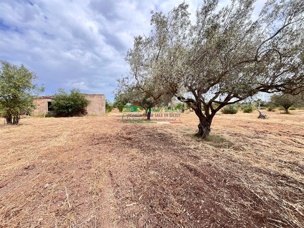 Terreno in Vendita