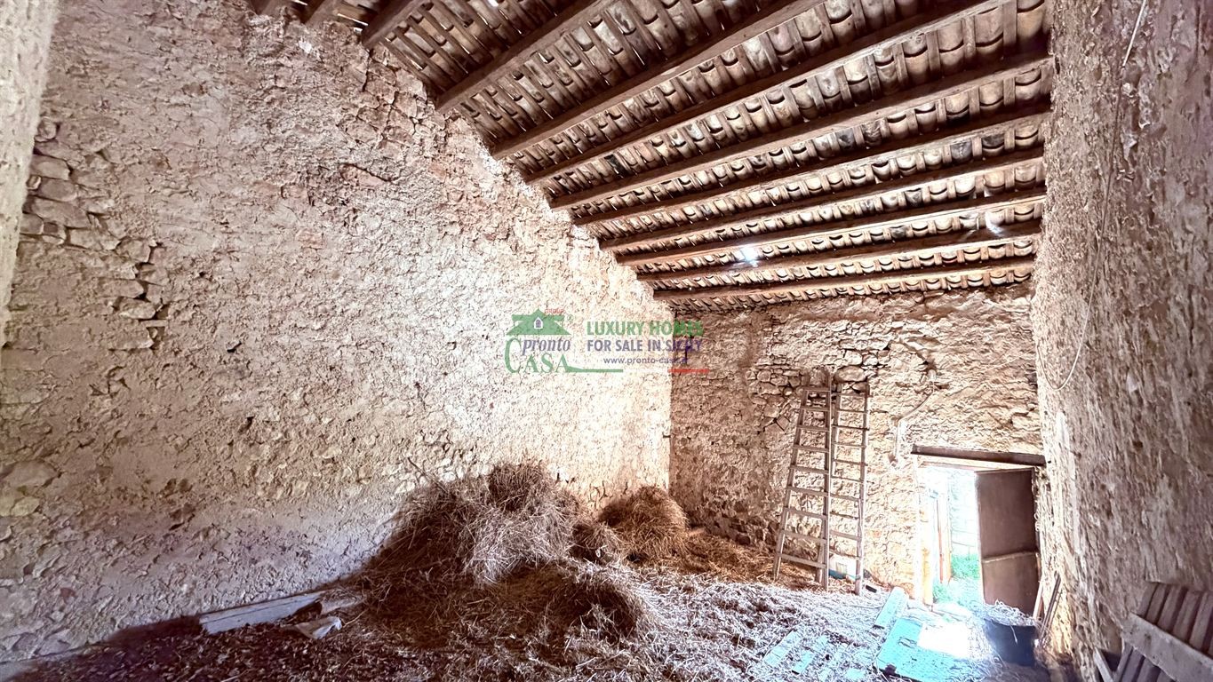 Attività Commerciale in Vendita