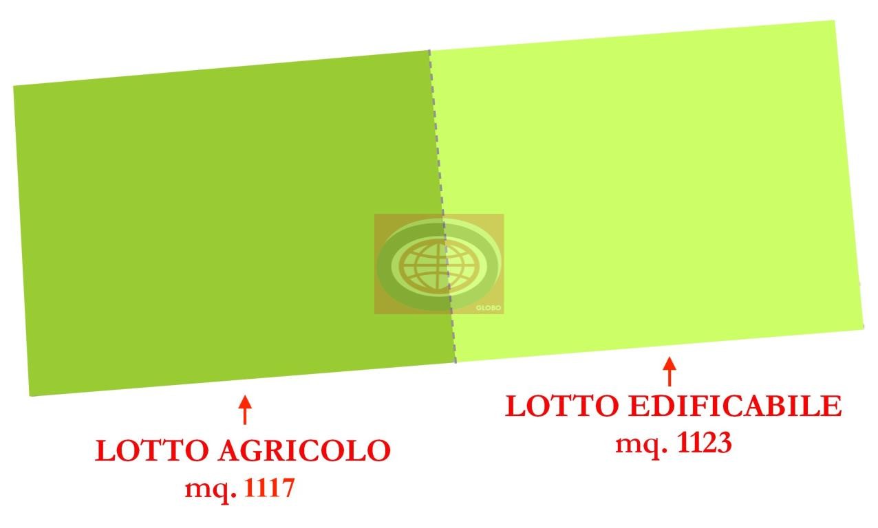 Terreno in Vendita