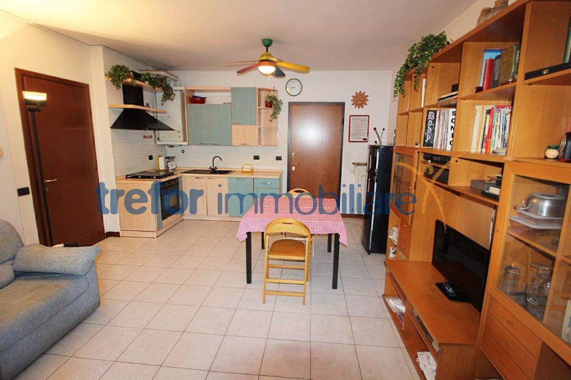 Appartamento SAN DONATO MILANESE vendita   Via Dossetti TREFOR IMMOBILIARE S.R.L.