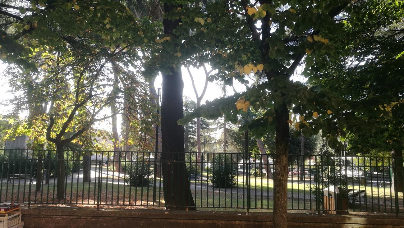 Appartamento RIGNANO FLAMINIO vendita   Via Roma SAMO ITALIA SRL