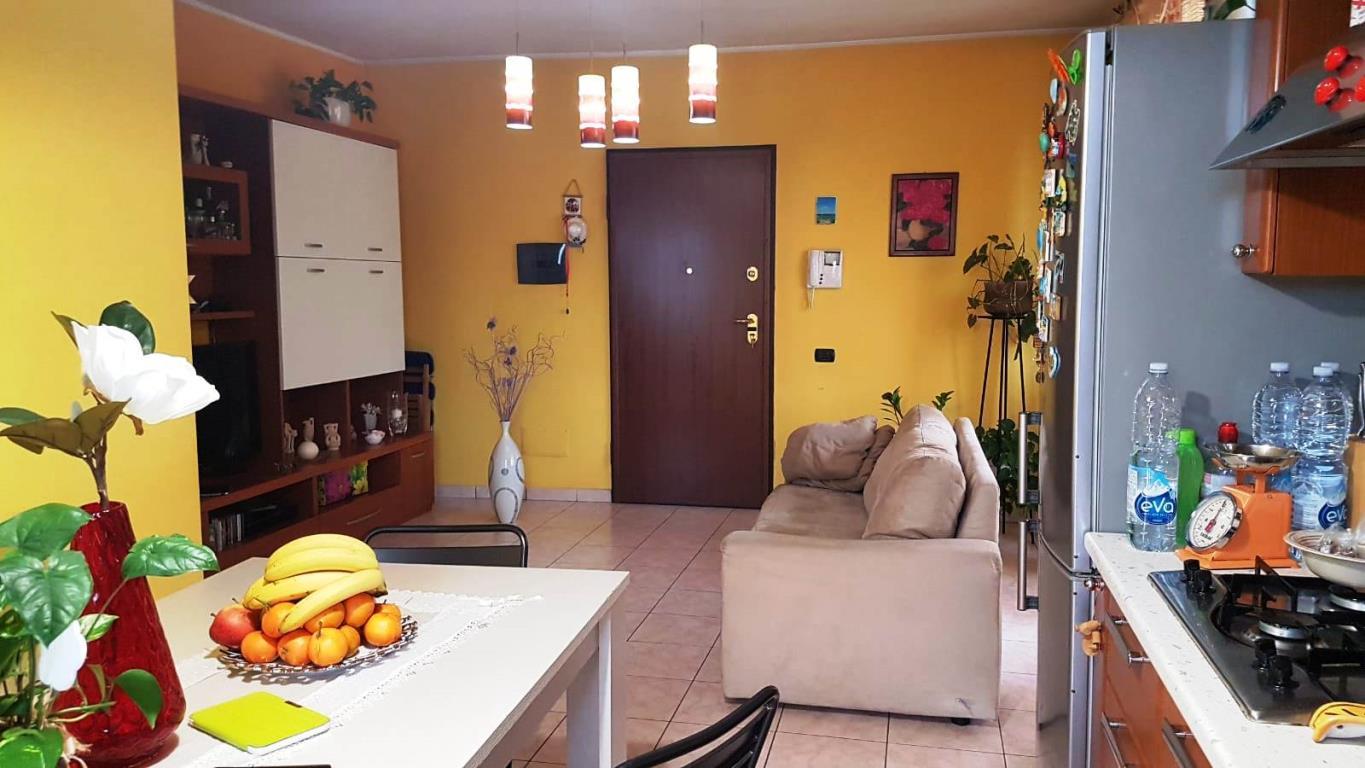 Appartamento LOCATE VARESINO vendita   Via Madonnetta Giglio Immobiliare di Lorenzo Degl