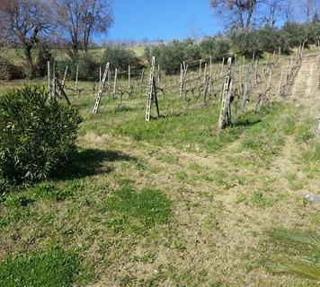 Vendesi palazzo in costruzione a Ponzano di Fermo (FM)