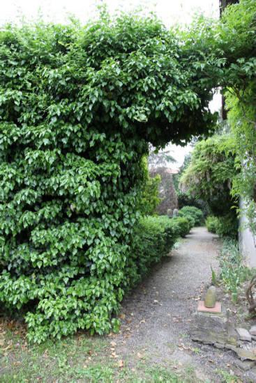 Villa CALCO vendita    CISE RE SRL