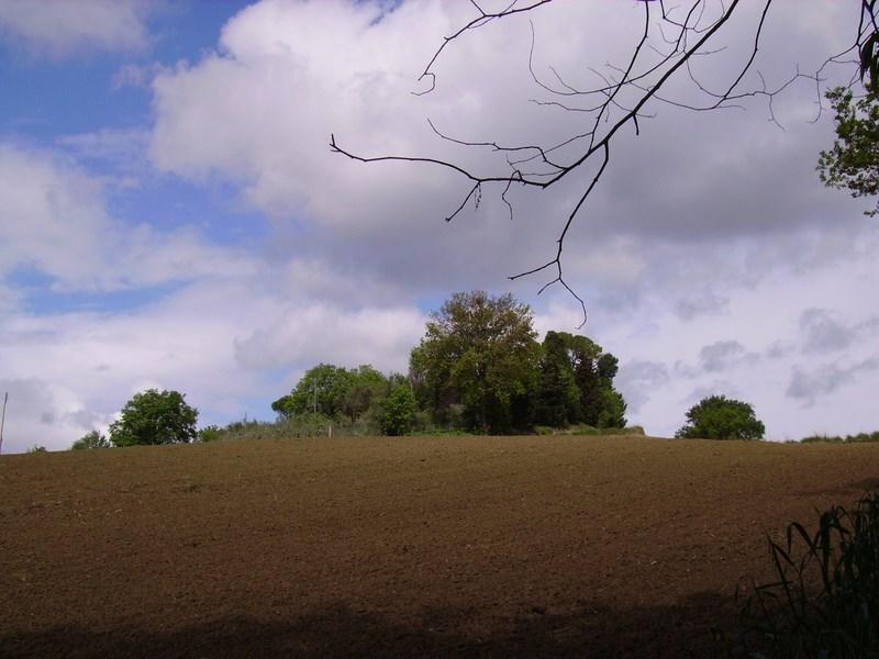 Casale in vendita a Corridonia