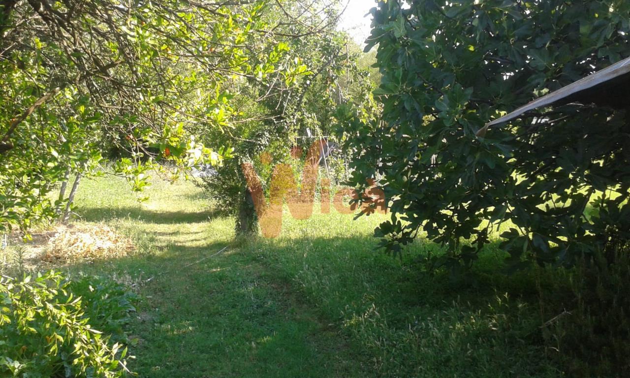 Villa Unifamiliare - Indipendente CESENA vendita    Giampaolo Magnani srl