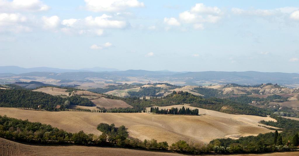 Rustico - Cascina ASCIANO vendita    AGENZIA SIENA IMMOBILIARE DI MOSCADELLI LUCIA