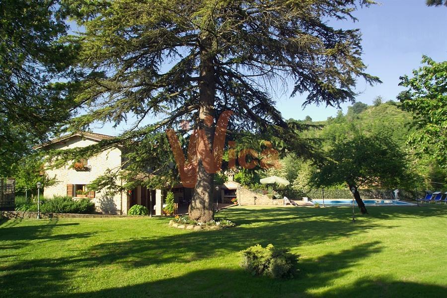 Villa Unifamiliare - Indipendente RONCOFREDDO vendita    Giampaolo Magnani srl