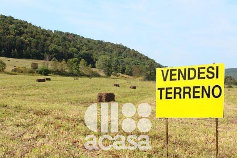 Foto - Azienda Agricola In Vendita Sogliano Al Rubicone (fc)