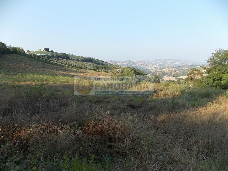  castignano vendita quart:  agenzia immobiliare panorama