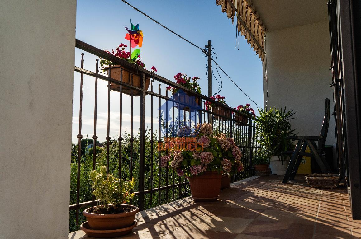 Appartamento CESENATICO vendita    Agenzia Immobiliare Barducci