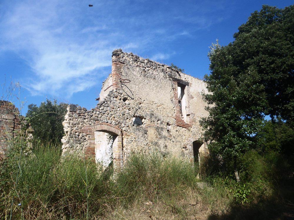 Villa Unifamiliare - Indipendente MURLO vendita    LIVING DI SERENA VANNONI
