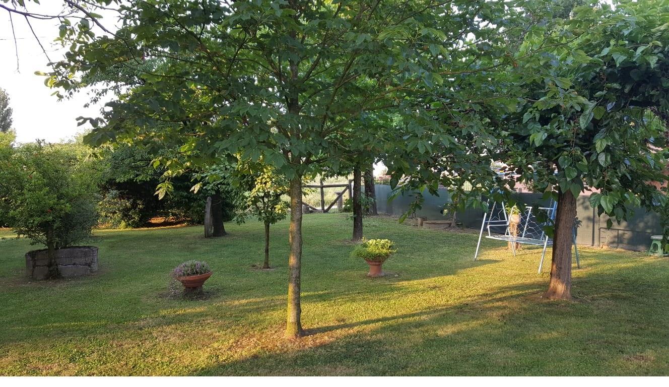 Villa Unifamiliare - Indipendente ALFONSINE vendita    AGENZIA CONTARINI
