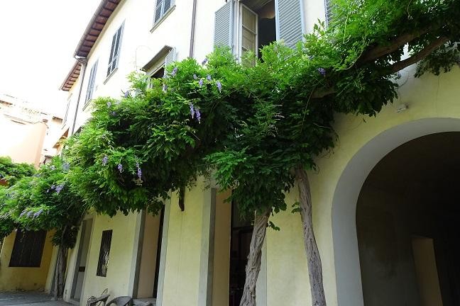  firenze affitto quart: oltrarno casaexpress-immobiliare