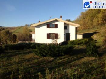 Villa FOSSALTO vendita   C.DA S.AGNESE STUDIO IMMOBILIARE  d