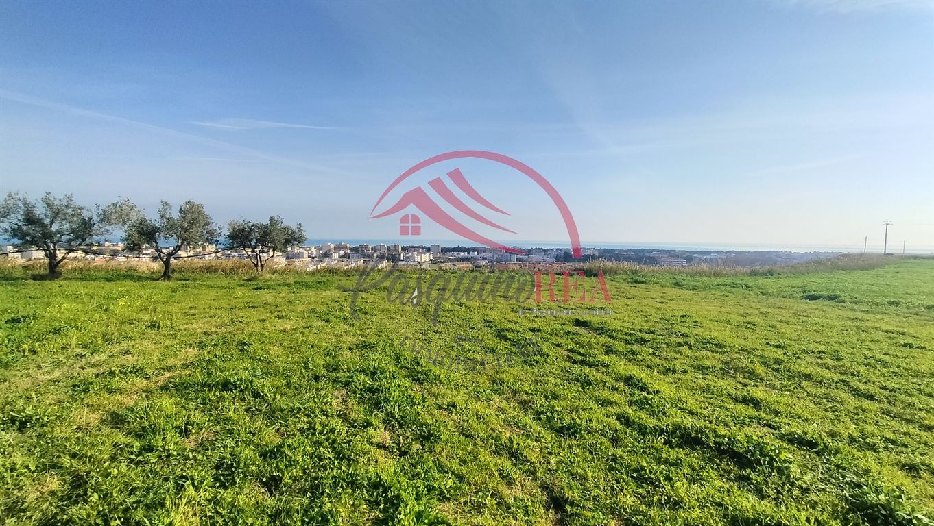 Terreno in Vendita