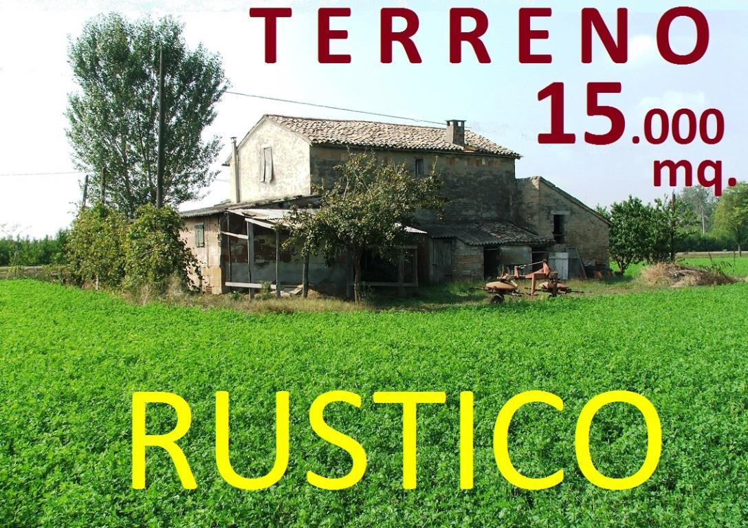  italia vendita quart:  studio effe di fabbri pierluigi e c. s.a.s.