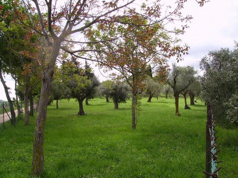 Casale in vendita a Corridonia